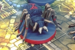 spiders